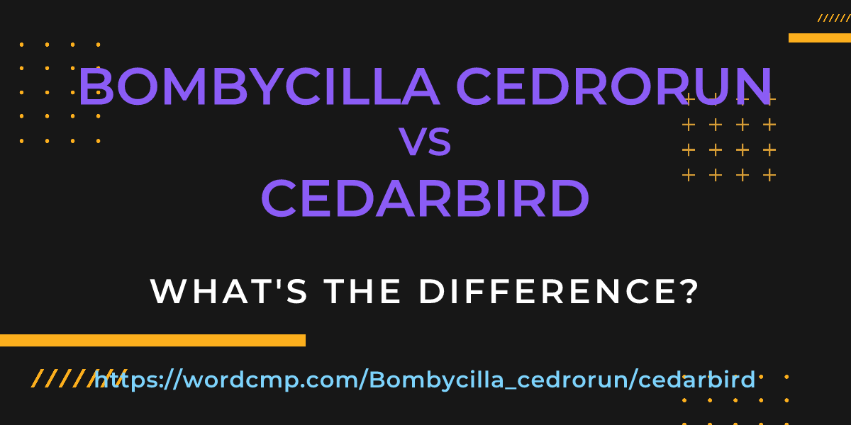 Difference between Bombycilla cedrorun and cedarbird
