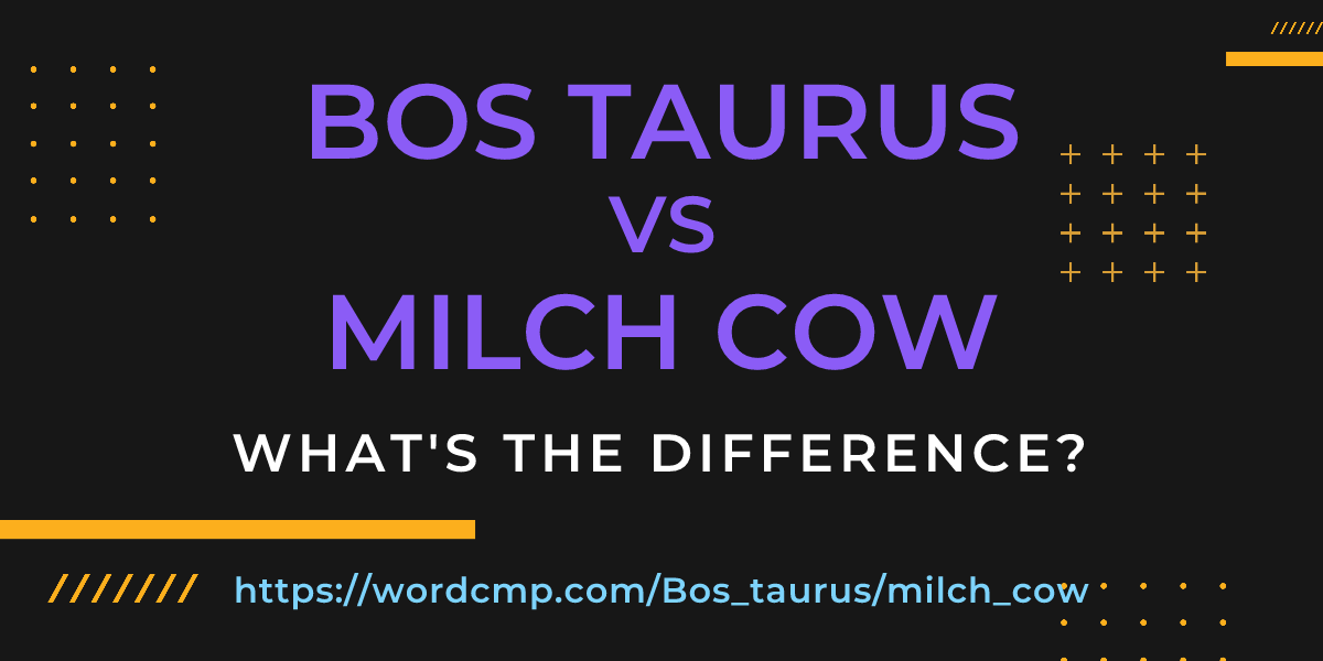Difference between Bos taurus and milch cow