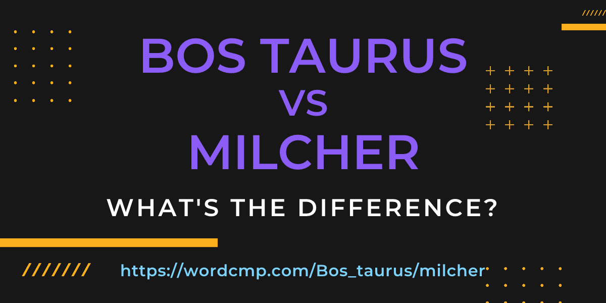 Difference between Bos taurus and milcher