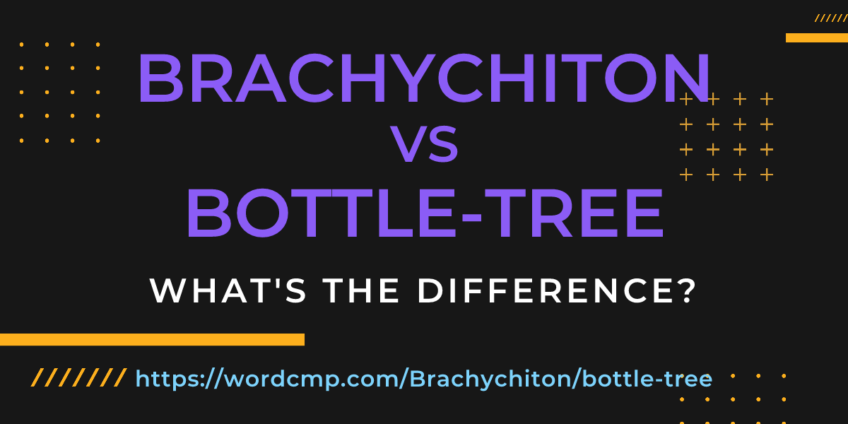 Difference between Brachychiton and bottle-tree