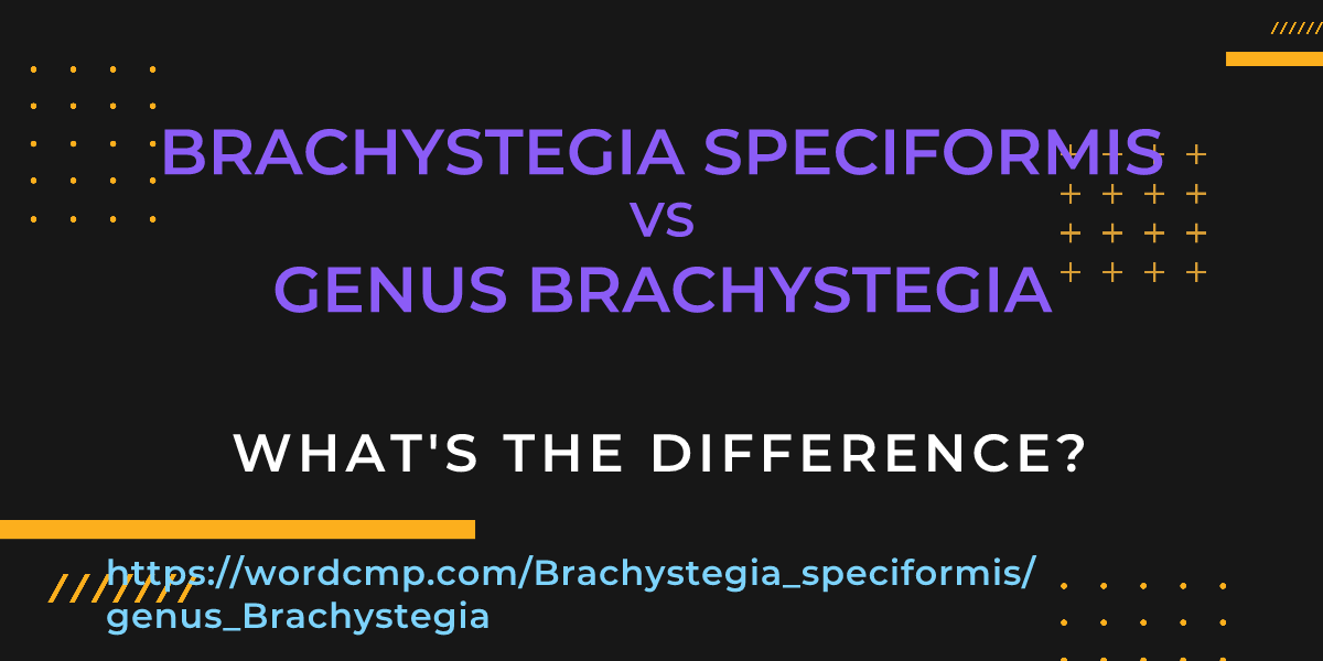Difference between Brachystegia speciformis and genus Brachystegia