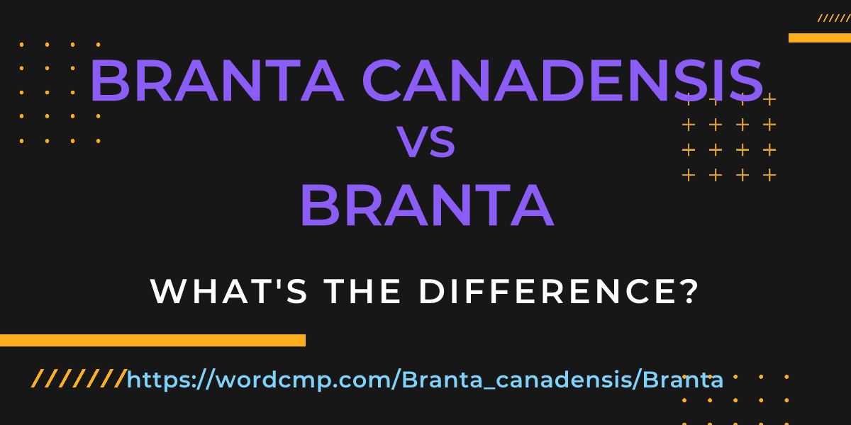 Difference between Branta canadensis and Branta