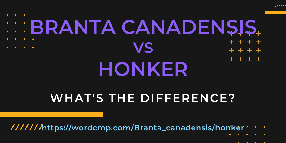 Difference between Branta canadensis and honker