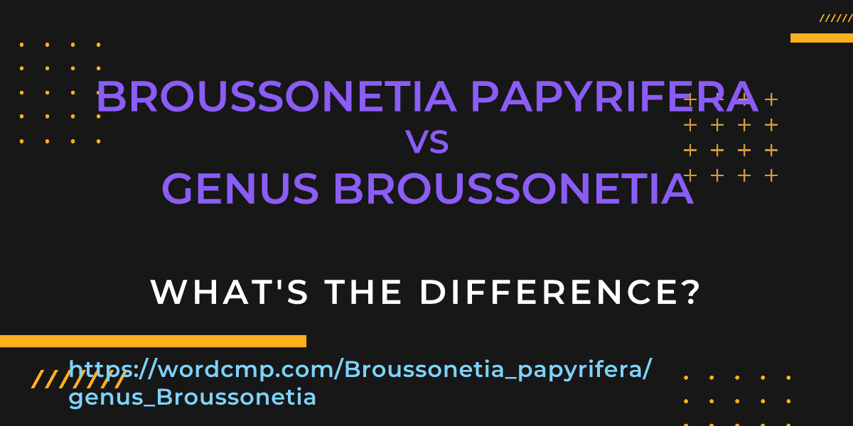 Difference between Broussonetia papyrifera and genus Broussonetia