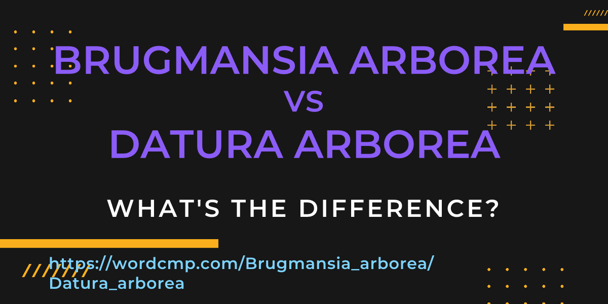 Difference between Brugmansia arborea and Datura arborea