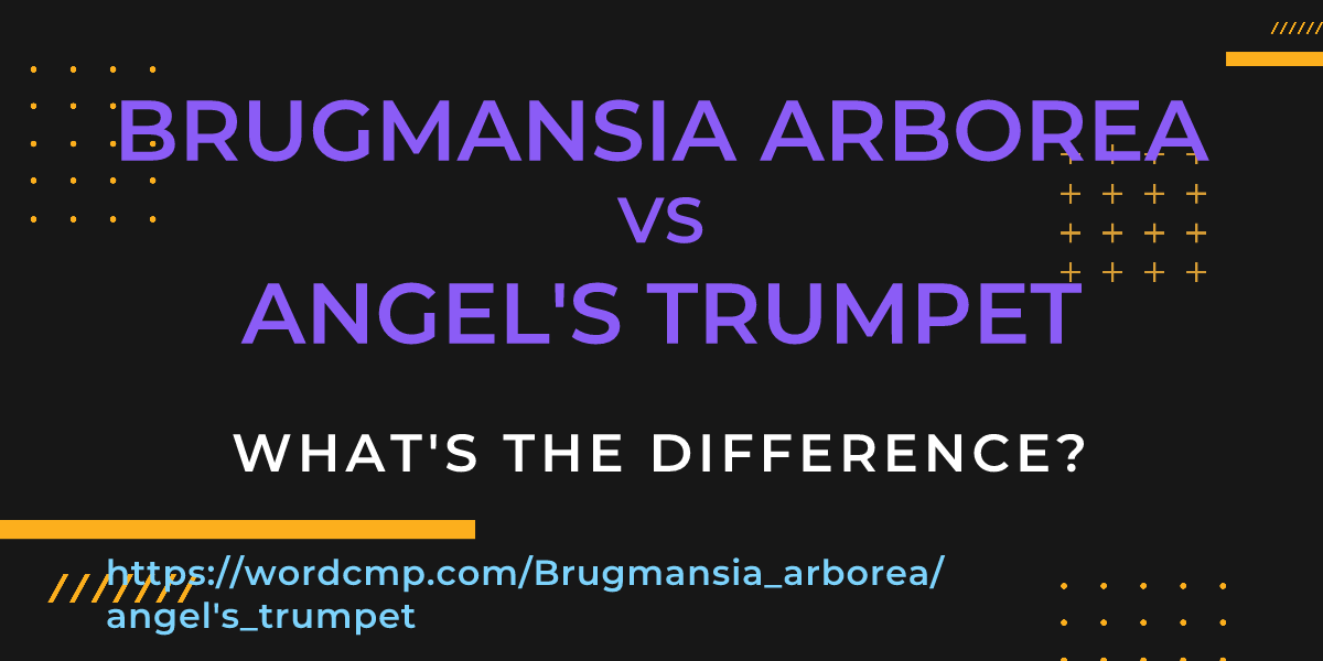 Difference between Brugmansia arborea and angel's trumpet