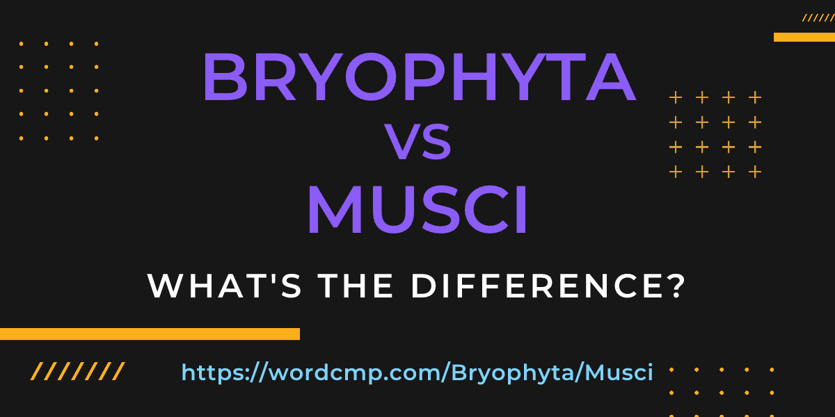 Difference between Bryophyta and Musci