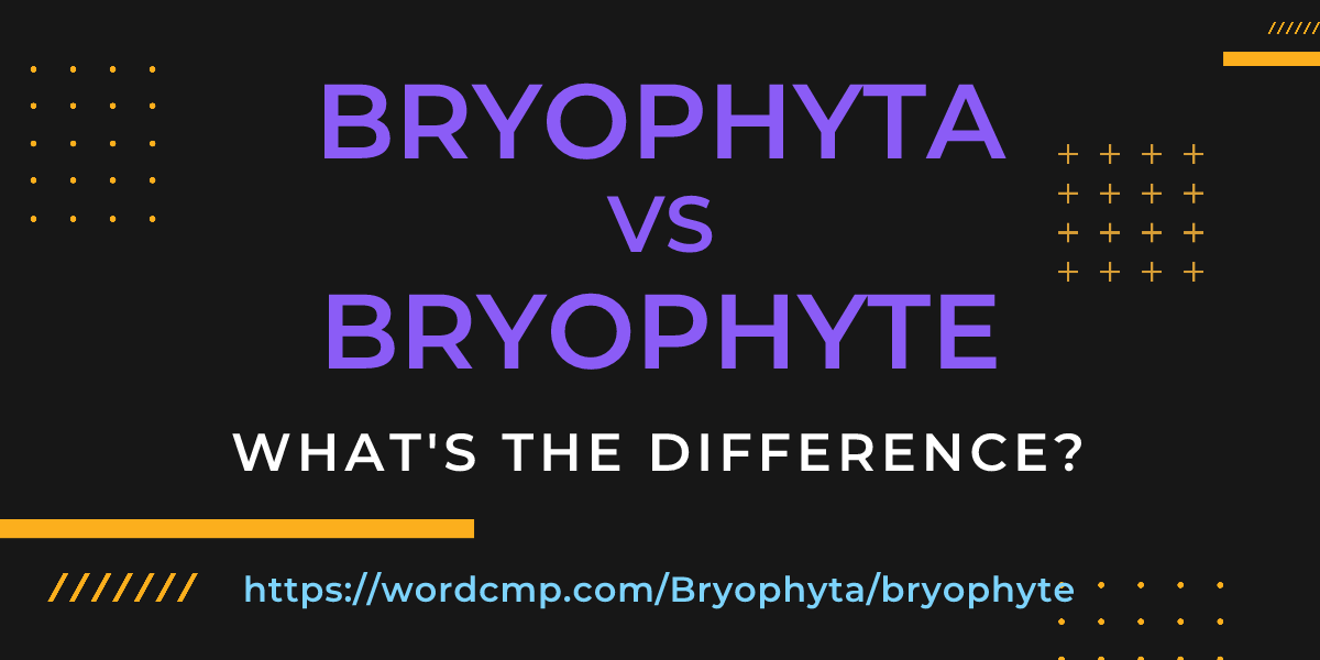 Difference between Bryophyta and bryophyte