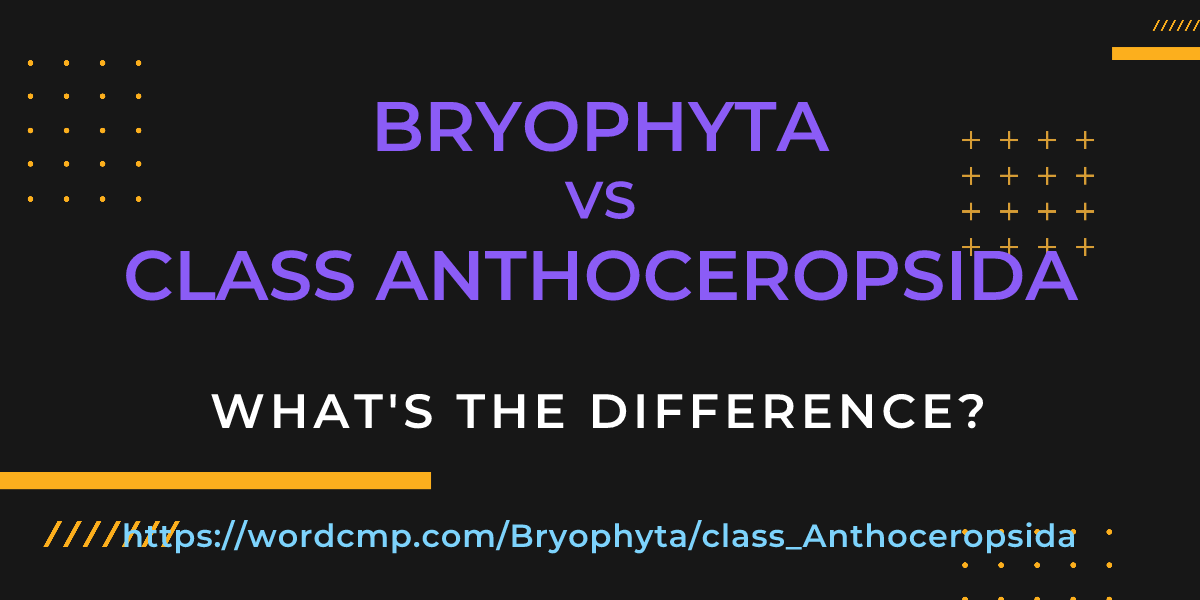 Difference between Bryophyta and class Anthoceropsida