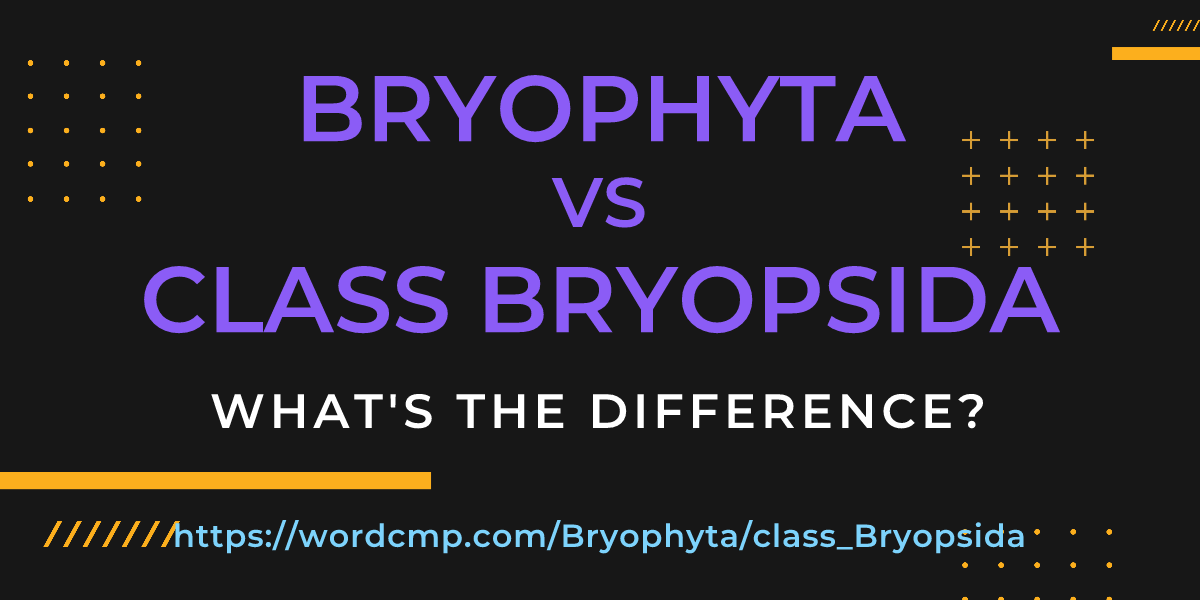 Difference between Bryophyta and class Bryopsida
