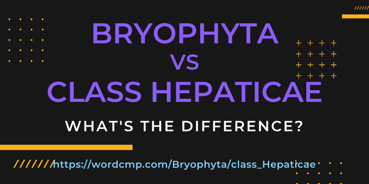 Difference between Bryophyta and class Hepaticae