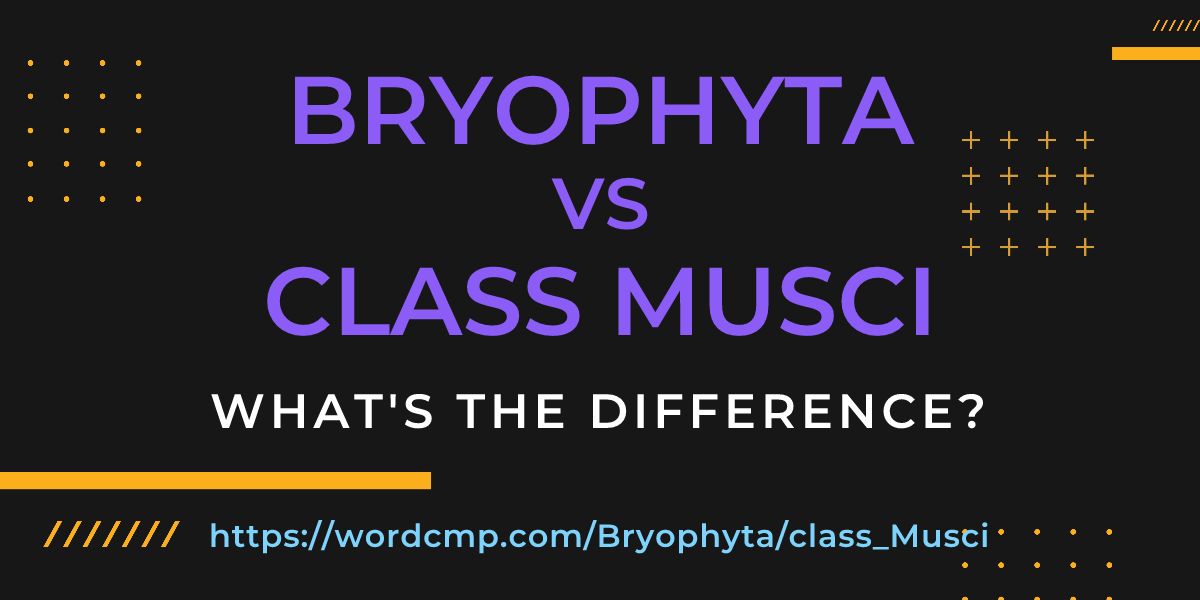 Difference between Bryophyta and class Musci
