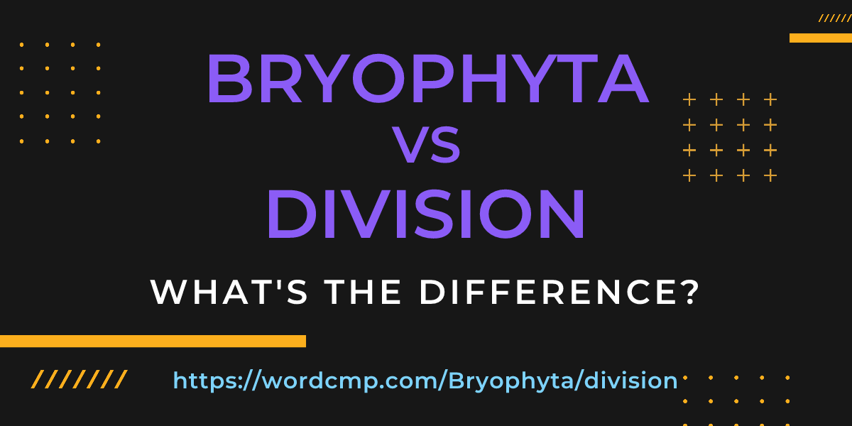 Difference between Bryophyta and division