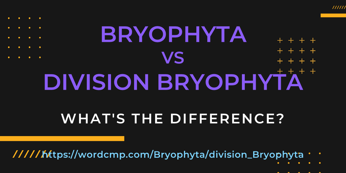 Difference between Bryophyta and division Bryophyta