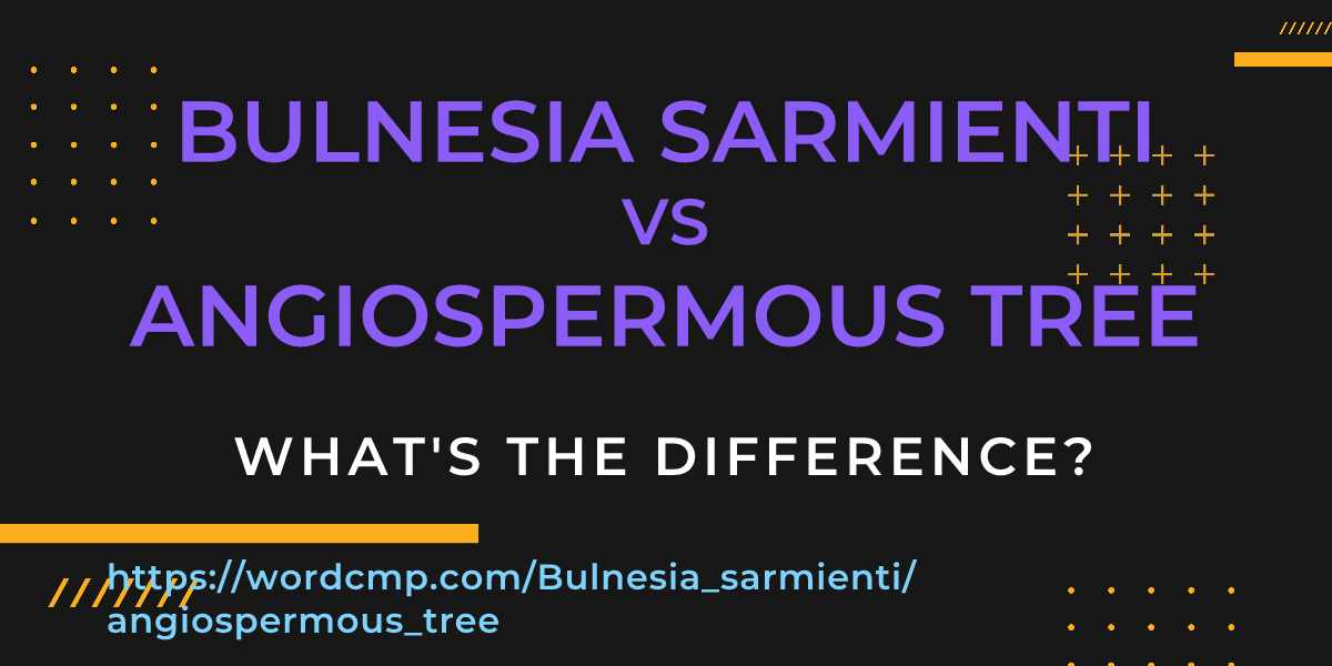 Difference between Bulnesia sarmienti and angiospermous tree