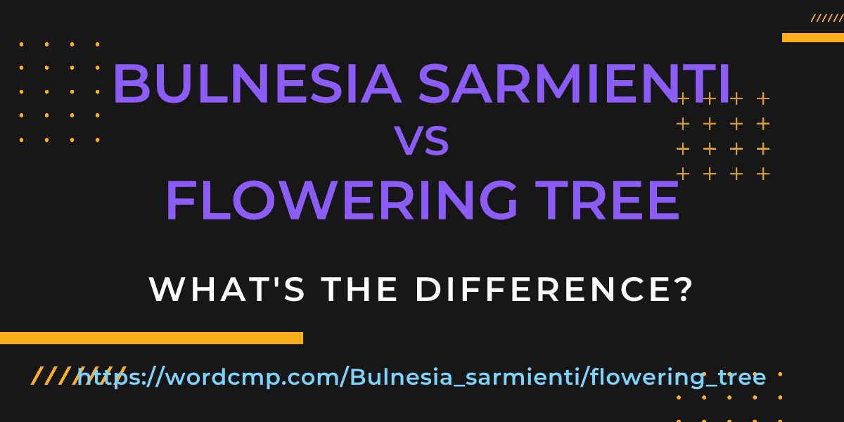 Difference between Bulnesia sarmienti and flowering tree