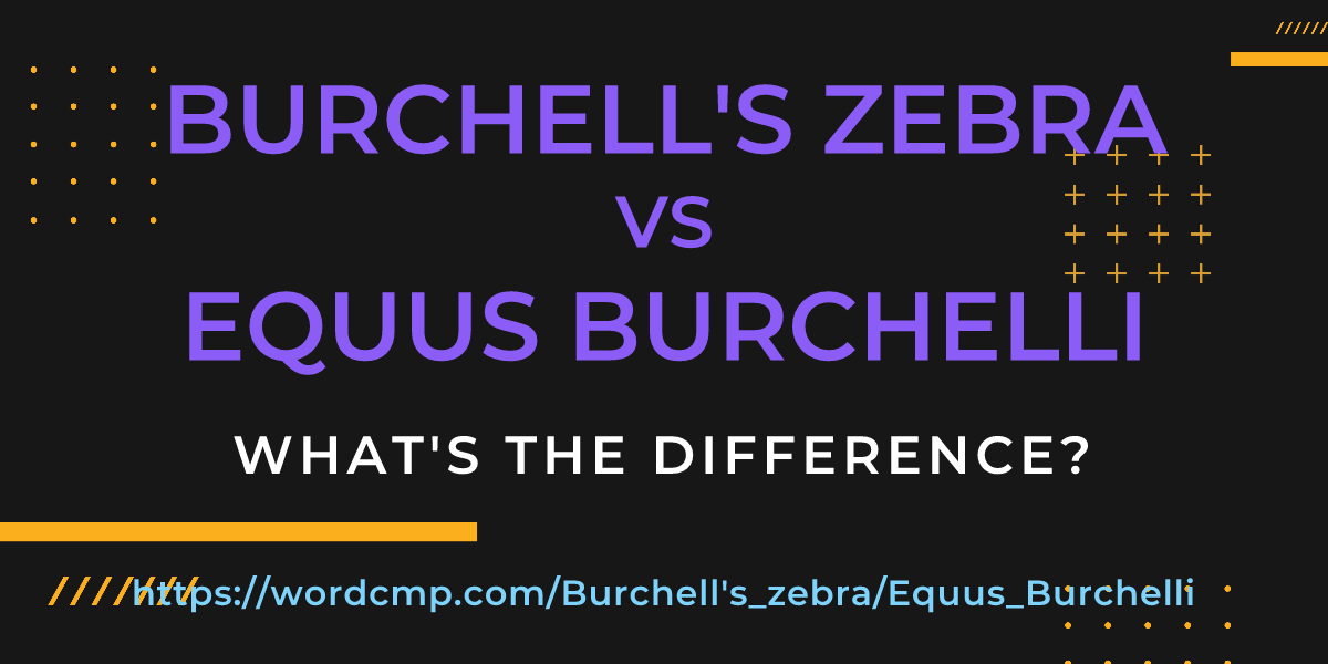 Difference between Burchell's zebra and Equus Burchelli