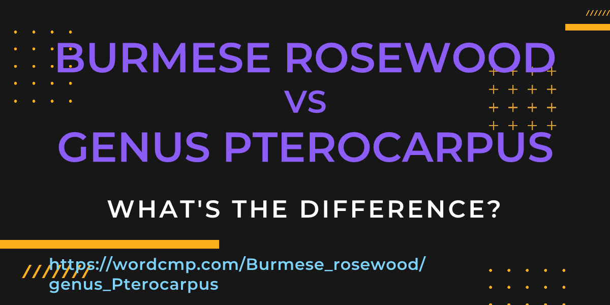 Difference between Burmese rosewood and genus Pterocarpus