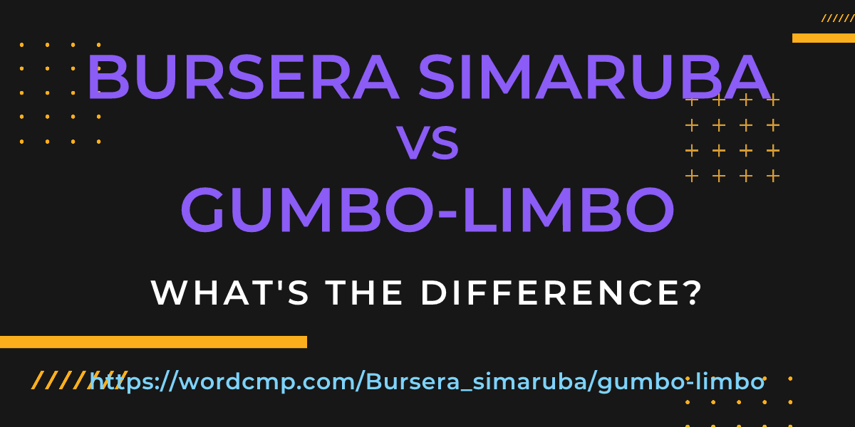Difference between Bursera simaruba and gumbo-limbo