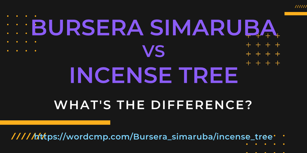 Difference between Bursera simaruba and incense tree