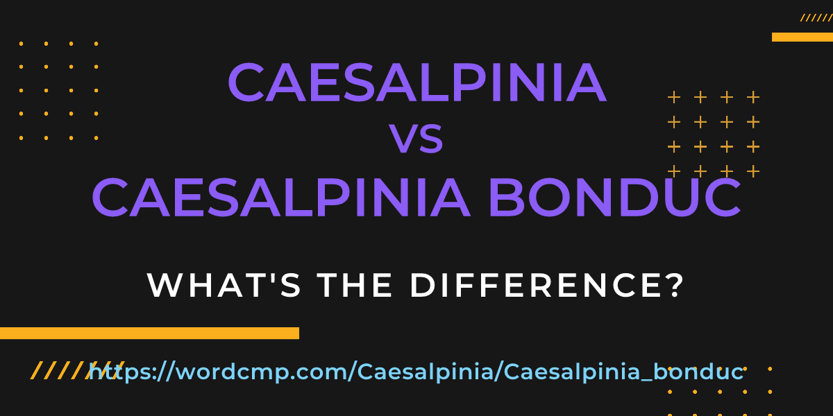 Difference between Caesalpinia and Caesalpinia bonduc