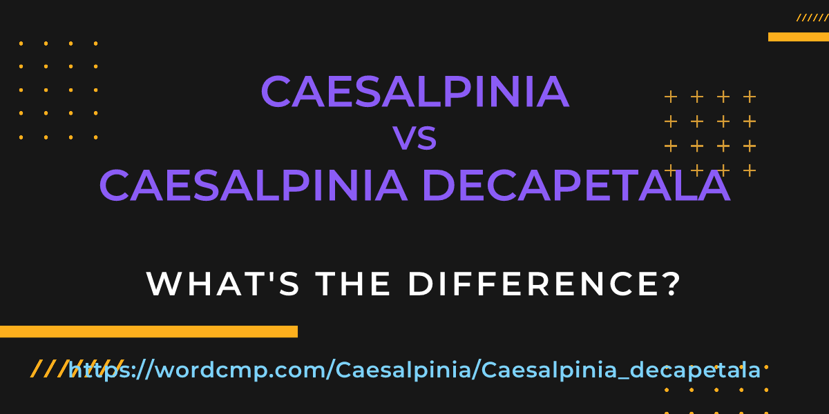 Difference between Caesalpinia and Caesalpinia decapetala