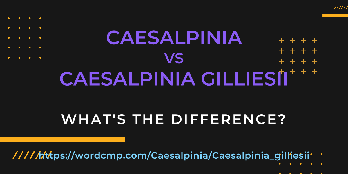 Difference between Caesalpinia and Caesalpinia gilliesii