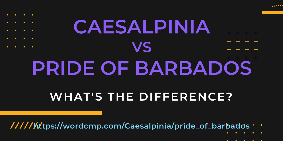 Difference between Caesalpinia and pride of barbados
