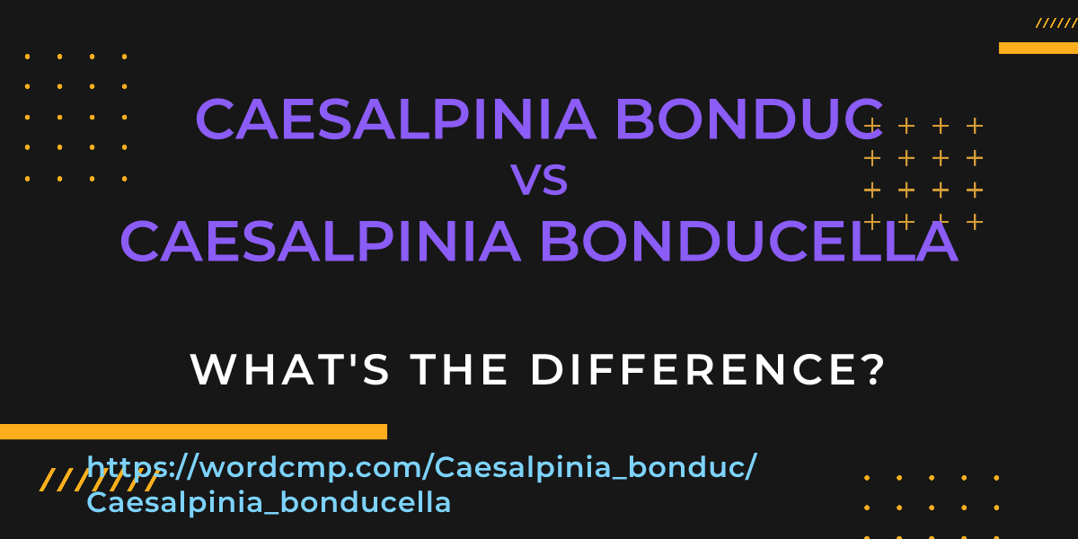 Difference between Caesalpinia bonduc and Caesalpinia bonducella