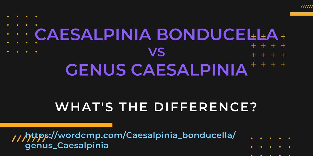 Difference between Caesalpinia bonducella and genus Caesalpinia