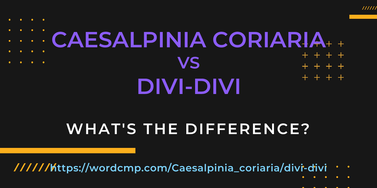 Difference between Caesalpinia coriaria and divi-divi
