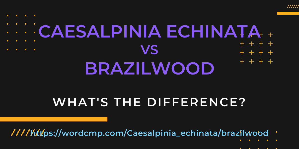 Difference between Caesalpinia echinata and brazilwood