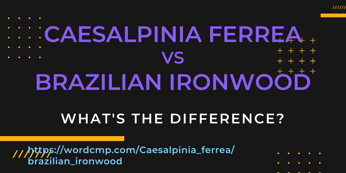 Difference between Caesalpinia ferrea and brazilian ironwood