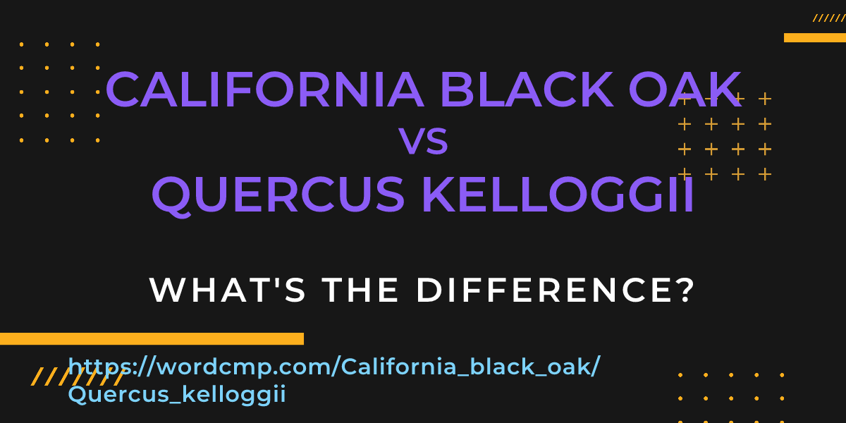 Difference between California black oak and Quercus kelloggii
