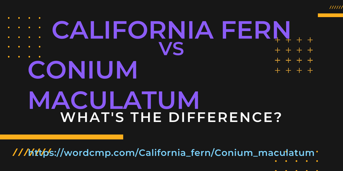 Difference between California fern and Conium maculatum