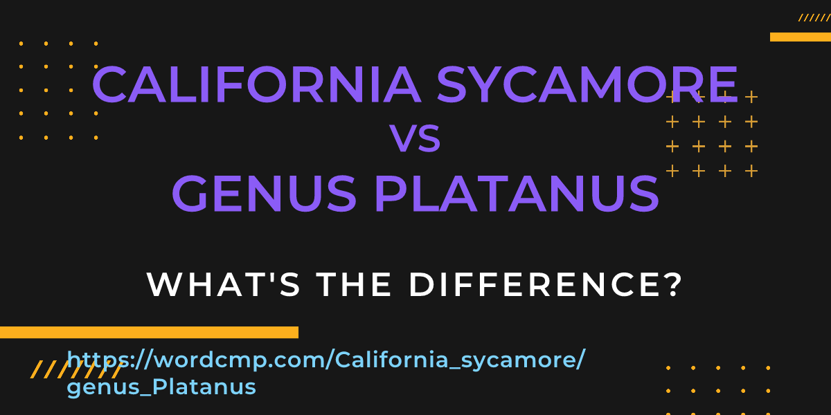Difference between California sycamore and genus Platanus