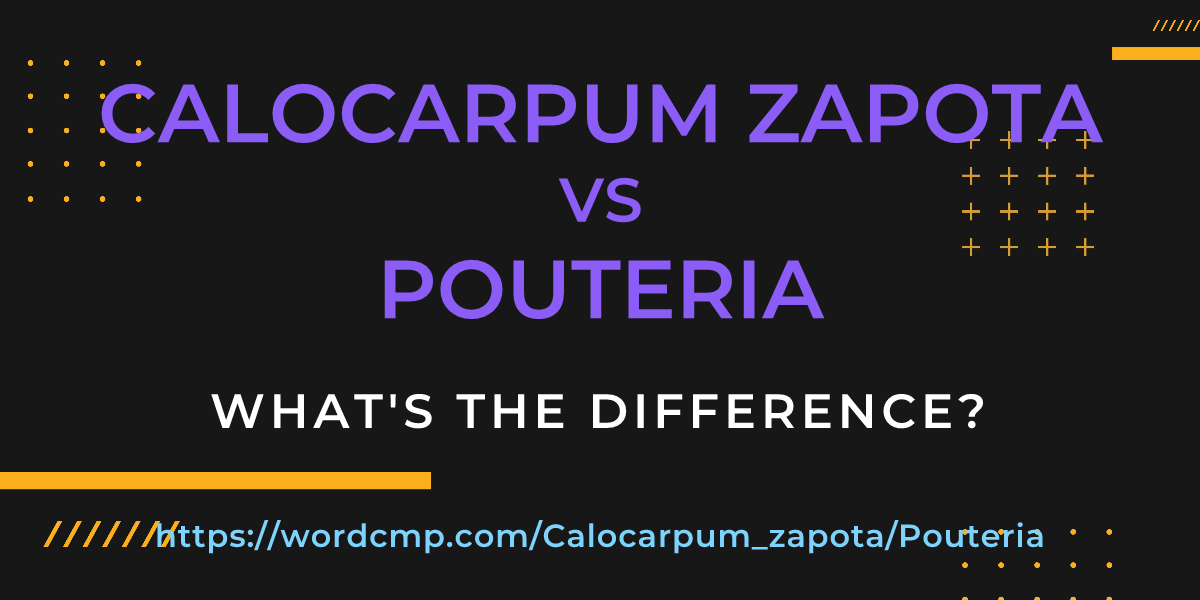 Difference between Calocarpum zapota and Pouteria