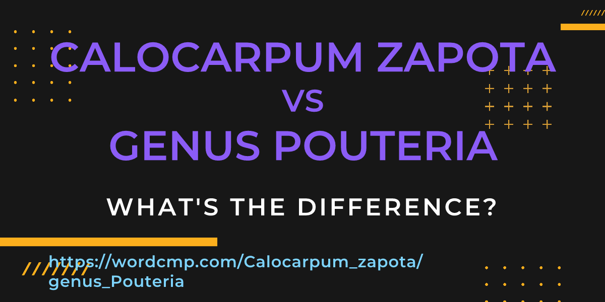 Difference between Calocarpum zapota and genus Pouteria