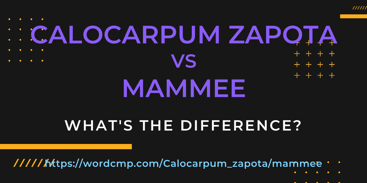 Difference between Calocarpum zapota and mammee