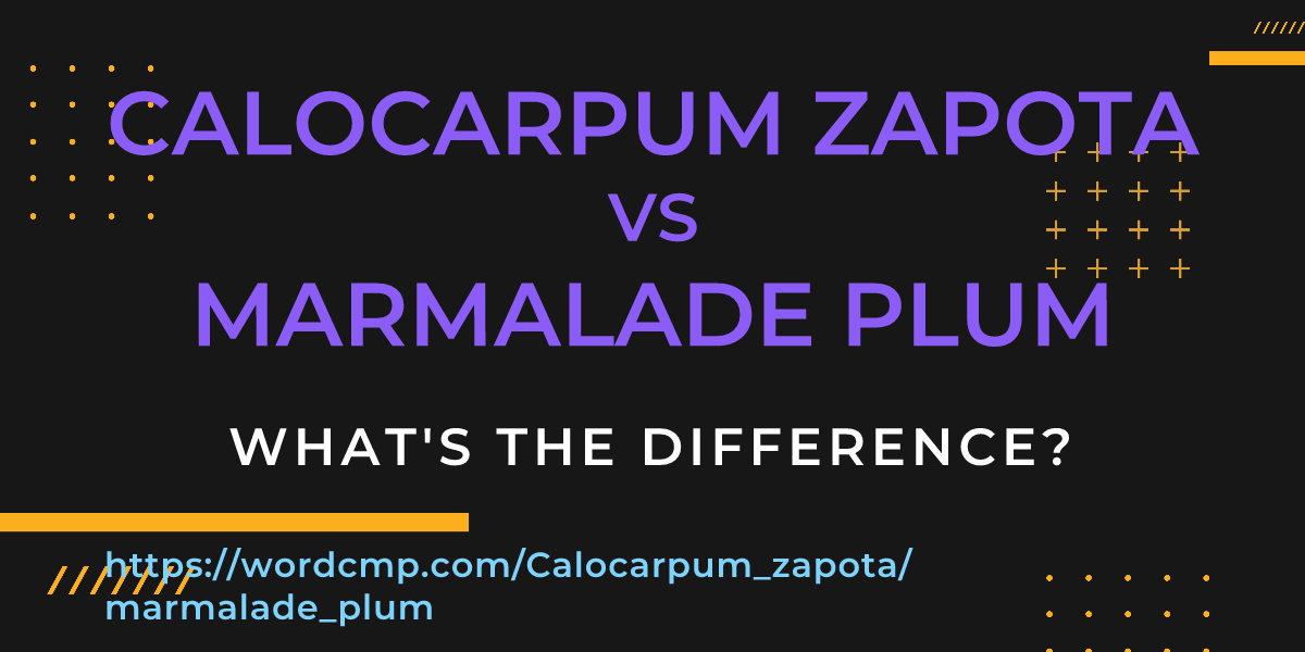 Difference between Calocarpum zapota and marmalade plum