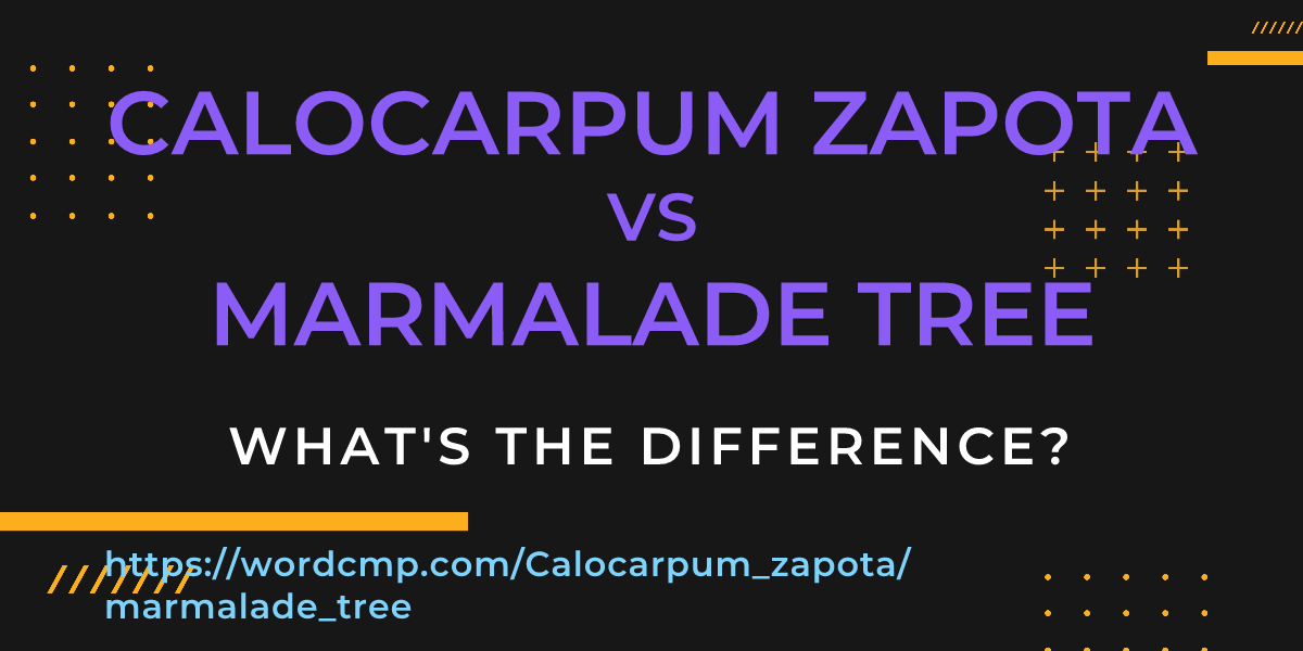 Difference between Calocarpum zapota and marmalade tree