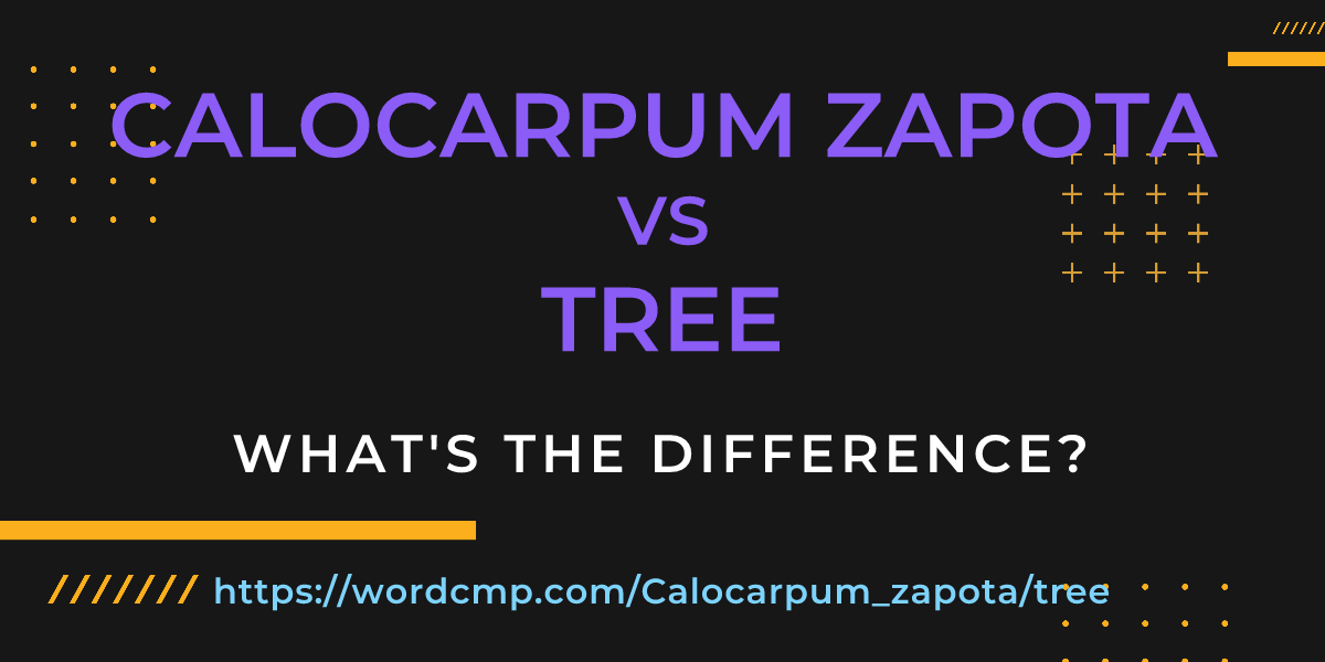 Difference between Calocarpum zapota and tree