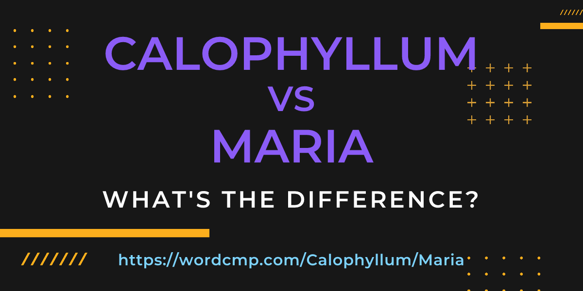 Difference between Calophyllum and Maria