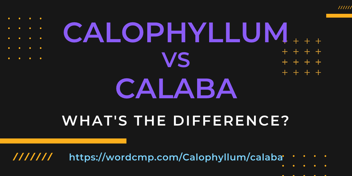 Difference between Calophyllum and calaba
