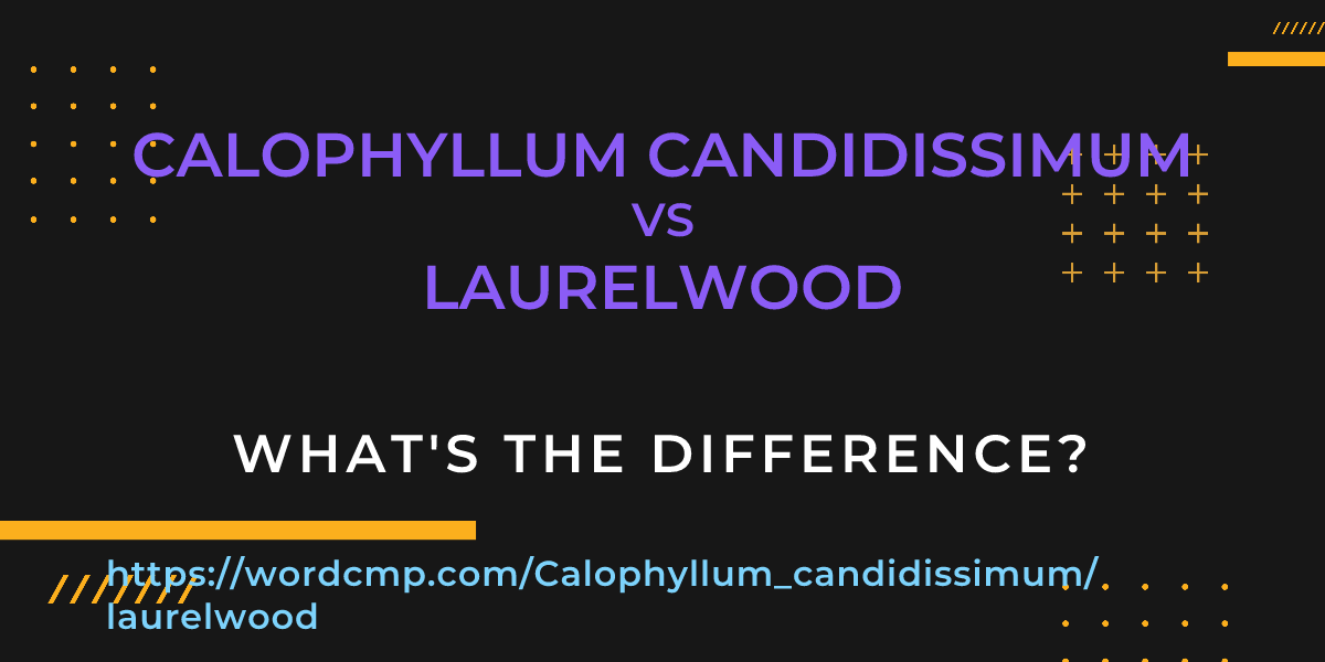 Difference between Calophyllum candidissimum and laurelwood