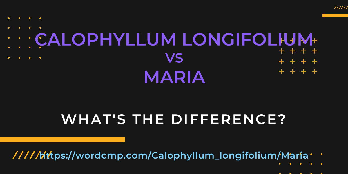 Difference between Calophyllum longifolium and Maria