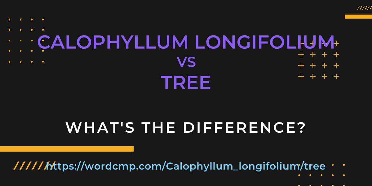 Difference between Calophyllum longifolium and tree