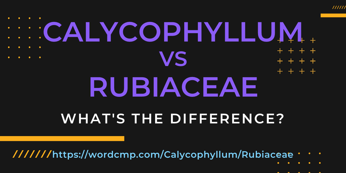 Difference between Calycophyllum and Rubiaceae