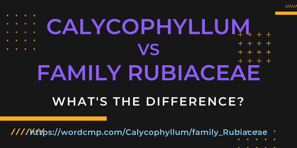 Difference between Calycophyllum and family Rubiaceae