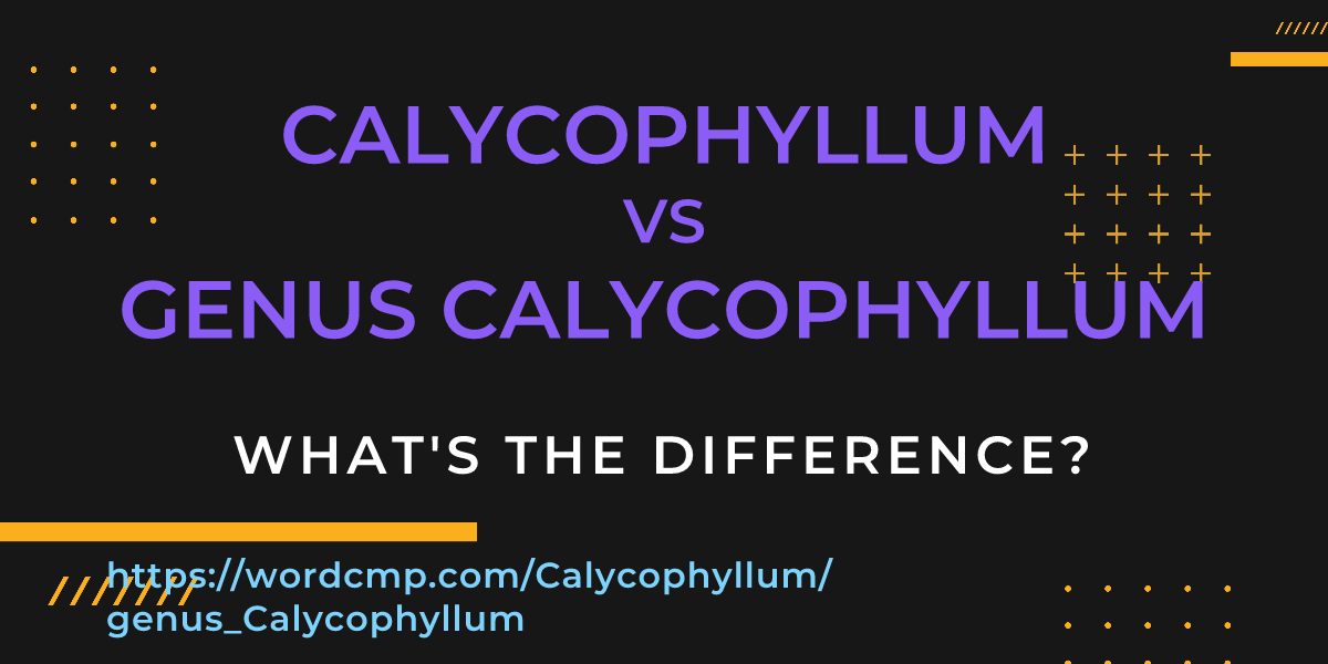 Difference between Calycophyllum and genus Calycophyllum